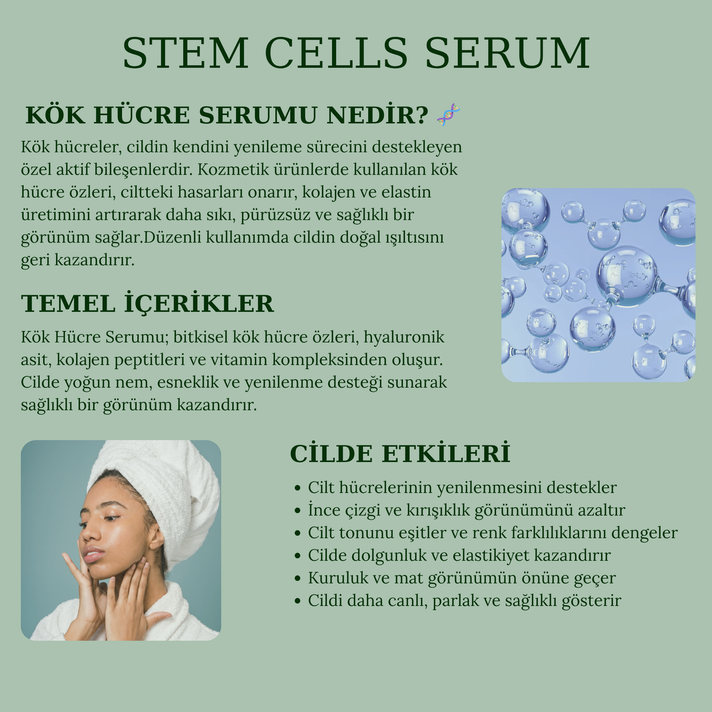 Stem Cells Serum